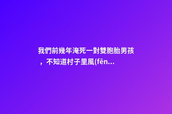 我們前幾年淹死一對雙胞胎男孩，不知道村子里風(fēng)水出了什么問題導(dǎo)